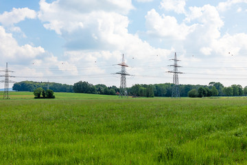 field with trees and blue sky