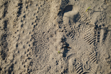 A sandy road with traces of a man and a Bicycle. Photophone.