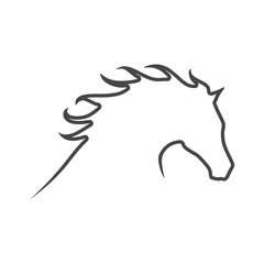 Vector image of an horse on white background