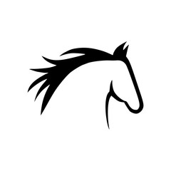 Vector image of an horse on white background