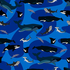 A collection of marine life. Whale, sperm whale, shark, killer whale, stingray.
