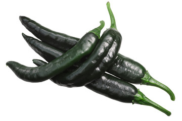Chilaca Pasilla chile peppers, paths, top