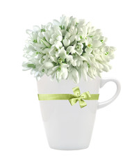 Beautiful snowdrops in cup isolated on white background