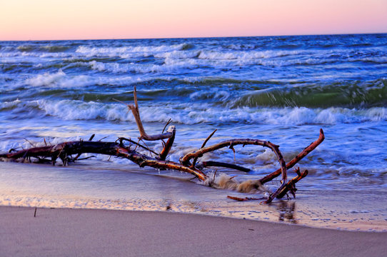 plaża Sobieszewo