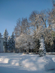 Winter park landscape - 212071405
