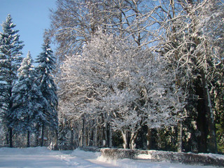 Winter park landscape - 212071439