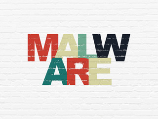 Privacy concept: Painted multicolor text Malware on White Brick wall background
