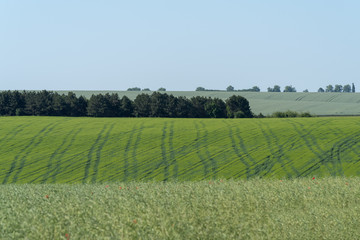 Fototapeta na wymiar Agricultural landscape in Podolia region of Ukraine
