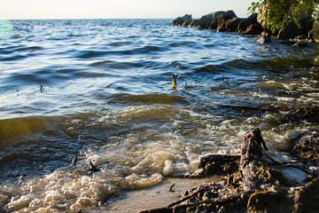 landscape on the water during sunset