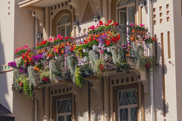 Fototapeta na wymiar Flowers on the balcony of a luxury house in a classic style. Architecture