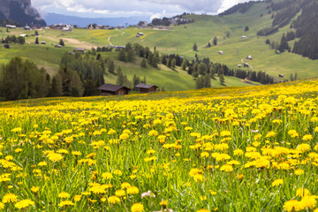 Sciliar in the clouds, South Tyrol, Italy