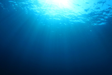 Fototapeta na wymiar Underwater ocean background photo 