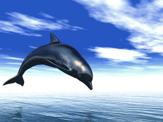 Fototapeta premium dolphin jumping out of the water
