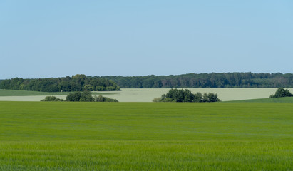 Fototapeta na wymiar Agricultural landscape in Podolia region of Ukraine