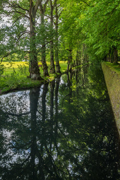Beautiful reflections in a tree lined canal in the Loire Valley, France