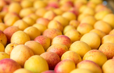 fresh ripe apricots top view