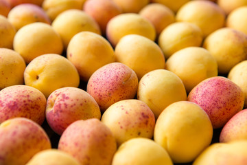 fresh ripe apricots top view