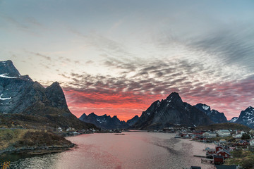 The fishing harbour of Reine at Lofoten Islands / Norway at midnight after sunset