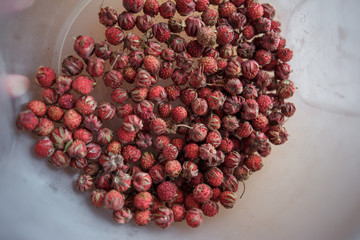 Red field strawberries on white plate on wooden table