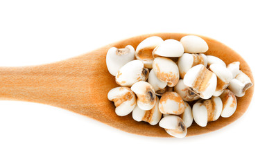 Job's tears in wood spoon on white background