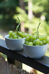 grapes, dessert, green color, nature, background, sweet, ripe, organic, fresh, garden, wooden, railing, balcony