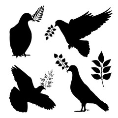Dove of peace vector silhouetes. Pigeon with branch isolated