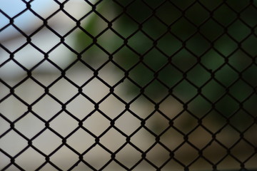 Fototapeta premium Grid