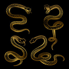 Golden snake set. Hand drawn snakes
