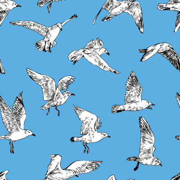 Pattern of the seagulls in flight