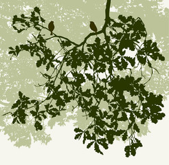 Naklejka premium Silhouettes of the birds on the oak branch