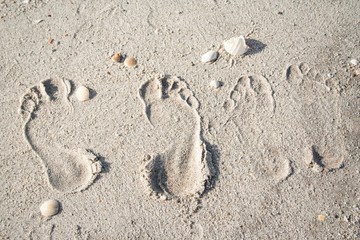 Close-up of footprints with shells from a couple on powdery fine white sand at Tanjung Rhu beach on Langkawi Island, Malaysia.