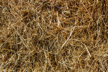 after harvest yellow dry texture of straw grass