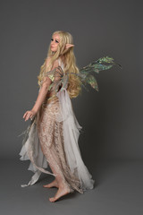 full length portrait blonde girl waring fairy costume, standing pose with back to the camera. grey studio background.