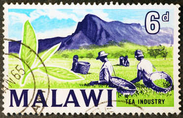 Tea industry on postage stamp of malawi