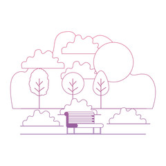 park with chairs scene vector illustration design