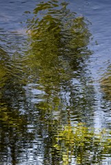 Reflets dans le Suran à Banchin, Simandre-sur-Suran, Ain, France