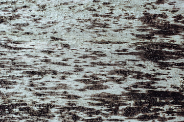 Texture of wood. Wooden fence. Fence in spots.