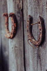 Horseshoe. Rusty texture horseshoe in beautiful light. The natural environment. Horseshoe for horses