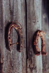 Horseshoe. Rusty texture horseshoe in beautiful light. The natural environment. Horseshoe for horses