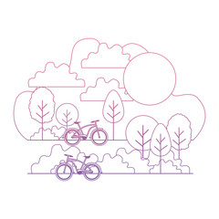 forest landscape with bicycle scene vector illustration design