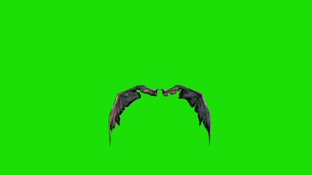 Demon Devil Wings Fast Green Screen 3D Renderings Animations