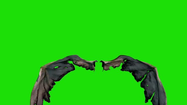 Demon Devil Wings Fast Green Screen Front 3D Renderings Animations