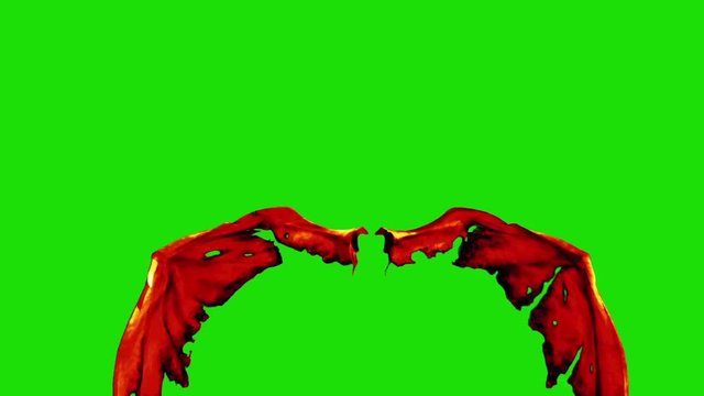 Red Demon Devil Wings Fast Green Screen Front 3D Renderings Animations