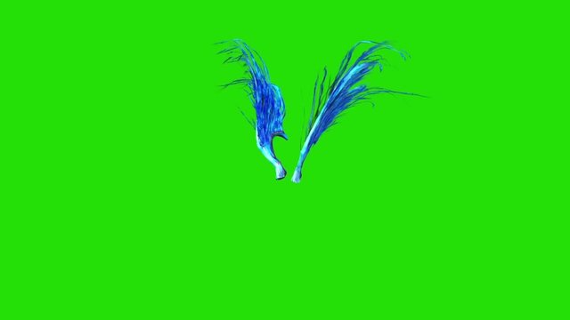 Flapping Blue Feathered Wings Green Screen 3D Rendering Animation