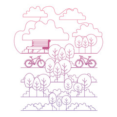 park with chair and bicycle scene vector illustration design