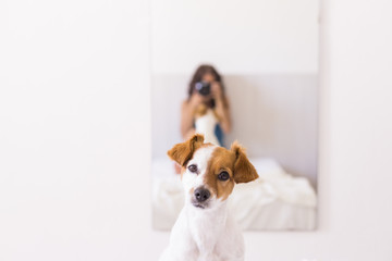 young woman sitting on bed and taking a picture with a reflex camera to her cute small dog on the mirror. Daytime. LIfestyle with pets