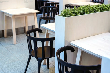 Fresh green grass grows in a concrete pot.