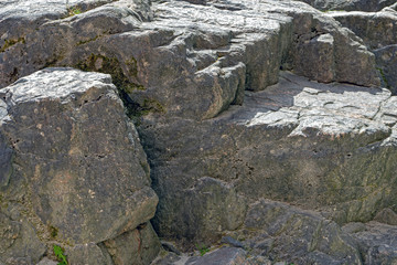 Stein_03