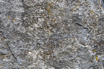 Stein_04