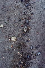 Texture of dirty sand with stones. The natural environment of stones in the nature of the village.